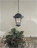 Minka Great Outdoors Amarante Indoor/Outdoor Hanging Lantern