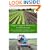 Organic Vegetable Production: A Complete Guide