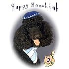 Pet Star Hanukkah Cards - Black Poodle by  Pet Star Photography