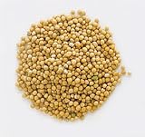Yellow Whole Mustard Seed - 1 lbs