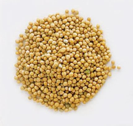 Frontier Herb Org Whole Yellow Mustard Seed ( 1x1lb)