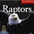 Audubon Raptors Calendar 2007