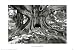 Thomas Barbey (Tourist Trap) Art Poster Print - 24