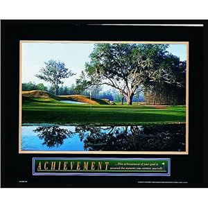 Golf Framed Motivational Poster Balls Clubs Tees