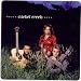Look again at folk, acoustic- - -dissenters rethink!