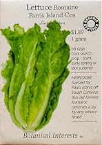 Lettuce Romaine Parris Island Cos Certified Organic Heirloom Seeds 275 Seeds