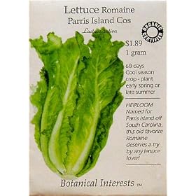 Lettuce Romaine Parris Island Cos Certified Organic Heirloom Seeds 275 Seeds