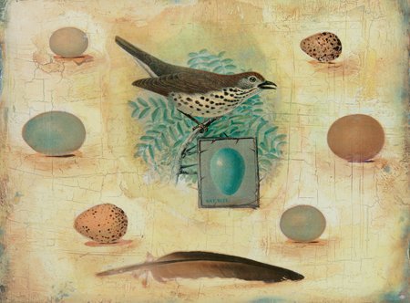 Novak - Woodland Bird I, Size: 24 x 20 Matte Finish
