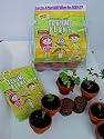 Tickle Me Plant Deluxe Greenhouse Kit
