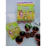 TickleMe Plant Greenhouse by 