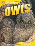 Owls