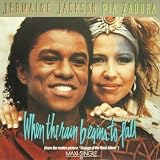 When the rain begins to fall (Ext. Version, 1984, & Pia Zadora) [VINYL]
