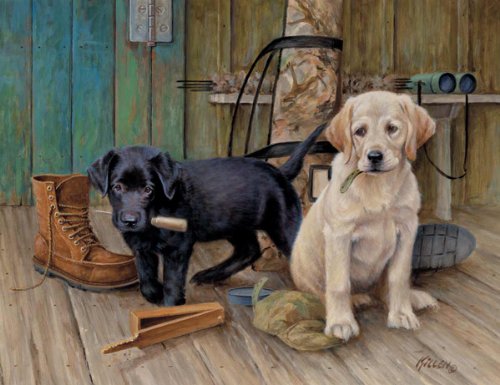 Image of White Mountain Puzzles Breaktime Labs