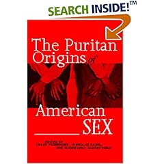 The Puritan Origins of American Sex: Religion, Sexuality, and National Identity in American Literature
