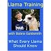 Llama Training with Bobra Goldsmith: What Every Llama Should Know