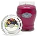 Salt City Mountain Vineyard 26oz Jar Candle