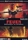 Feuer - Gefangen im Inferno - Bryan Genesse