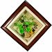 Floral Tale 3D Handcrafted Floral Painting (Preserved Real Flower, Green, Lozenge, 30x30x5 Cm)