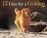 12 Uses for a Golden 2007 Calendar