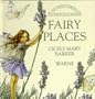 Fairy Places Pop-up: Little Flower Fairy Pop Up (Flower Fairies)