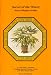 Secret of the Orient, Dwarf Rhapis Excelsa: A Lady Palm Reference, Including Standard Rhapis Excelsa and Other Rhapis Palms by Lynn McKamey ISBN 0961213000