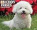 Just Bichon Frises 2015 Wall Calendar