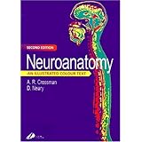 neuroanatomy an illustrated colour text 2e