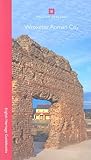 Wroxeter Roman City