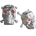 Skull and Crossbones Seatpost Mount Bicycle Light Ornament - Chrome