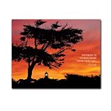 All Occasion Postcard - This Day, box of 50 postcards