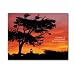 All Occasion Postcard - This Day, box of 50 postcards