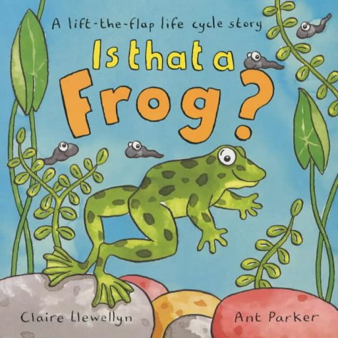 Is That a Frog?: A Lift-the-flap Life Cycle Story