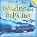 Whales and Dolphins (I Wonder Why (Flip the Flaps))