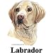 Labrador Retriever (Yellow) Cordial - Shot Glass