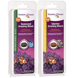 Aquarium Systems Herbivore Seaweed Grazing Block