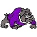 Bulldog Temporary Tattoos Purple