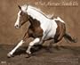 What Horses Teach Us 2010 Wall Calendar