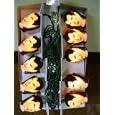 Dracula Halloween Indoor Outdoor Light Set