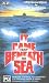It Came From Beneath The Sea (1954)