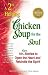 A 2nd Helping of Chicken Soup for the Soul: 101 More Stories to Open the Heart and Rekindle the Spirit