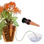 Self-Watering Probes - Vacation Plant Waterers - 5 Pack