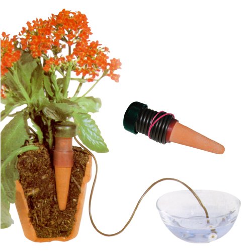 Buy Self-Watering Probes - Vacation Plant Waterers - 5 Pack online at Discounted New and Used prices. Delivered to your door with Off-The-Bookshelf.