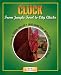 Books : Cluck: From Jungle Fowl to City Chicks