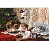 Castorland - Puzzle 1000 pièces - Ronner-Knip : Petits chats