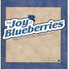 The Joy of Blueberries Cookbook