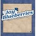 The Joy of Blueberries Cookbook