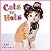 Cats in Hats 2016 Mini Calendar