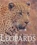 Time With Leopards Hb