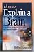 Book How to Explain a Brain: An Educator's Handbook of Brain Terms and Cognitive Processes
