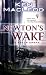 Search : Newton's Wake: A Space Opera